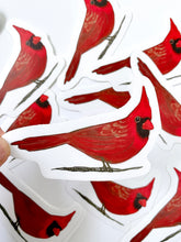 Load image into Gallery viewer, Cardinal Sticker - Bird Nerd Stickers