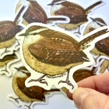 Load image into Gallery viewer, Carolina Wren aka Fairy Wren Sticker - Bird Nerd Stickers