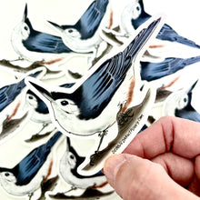 Load image into Gallery viewer, White Breasted Nuthatch Sticker - Bird Nerd Stickers