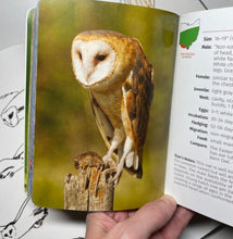 Load image into Gallery viewer, The weird photo that inspired this!