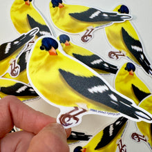 Load image into Gallery viewer, American Goldfinch Sticker - Bird Nerd Stickers
