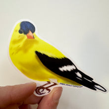 Load image into Gallery viewer, American Goldfinch Sticker - Bird Nerd Stickers
