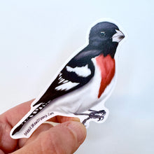 Load image into Gallery viewer, Rose Breasted Grosbeak Sticker - Bird Nerd Stickers
