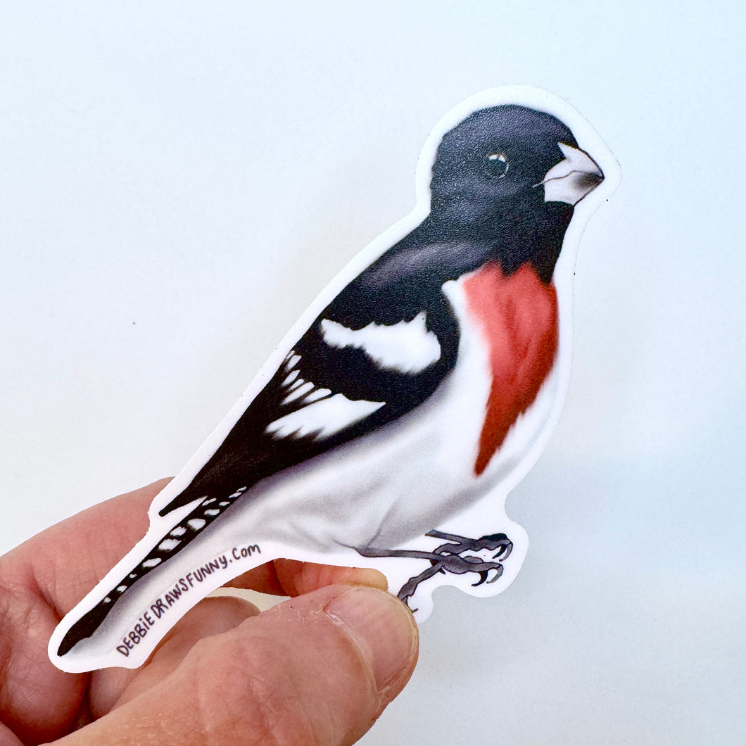 Rose Breasted Grosbeak Sticker - Bird Nerd Stickers