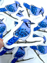Load image into Gallery viewer, Blue Jay Sticker - Bird Nerd Stickers
