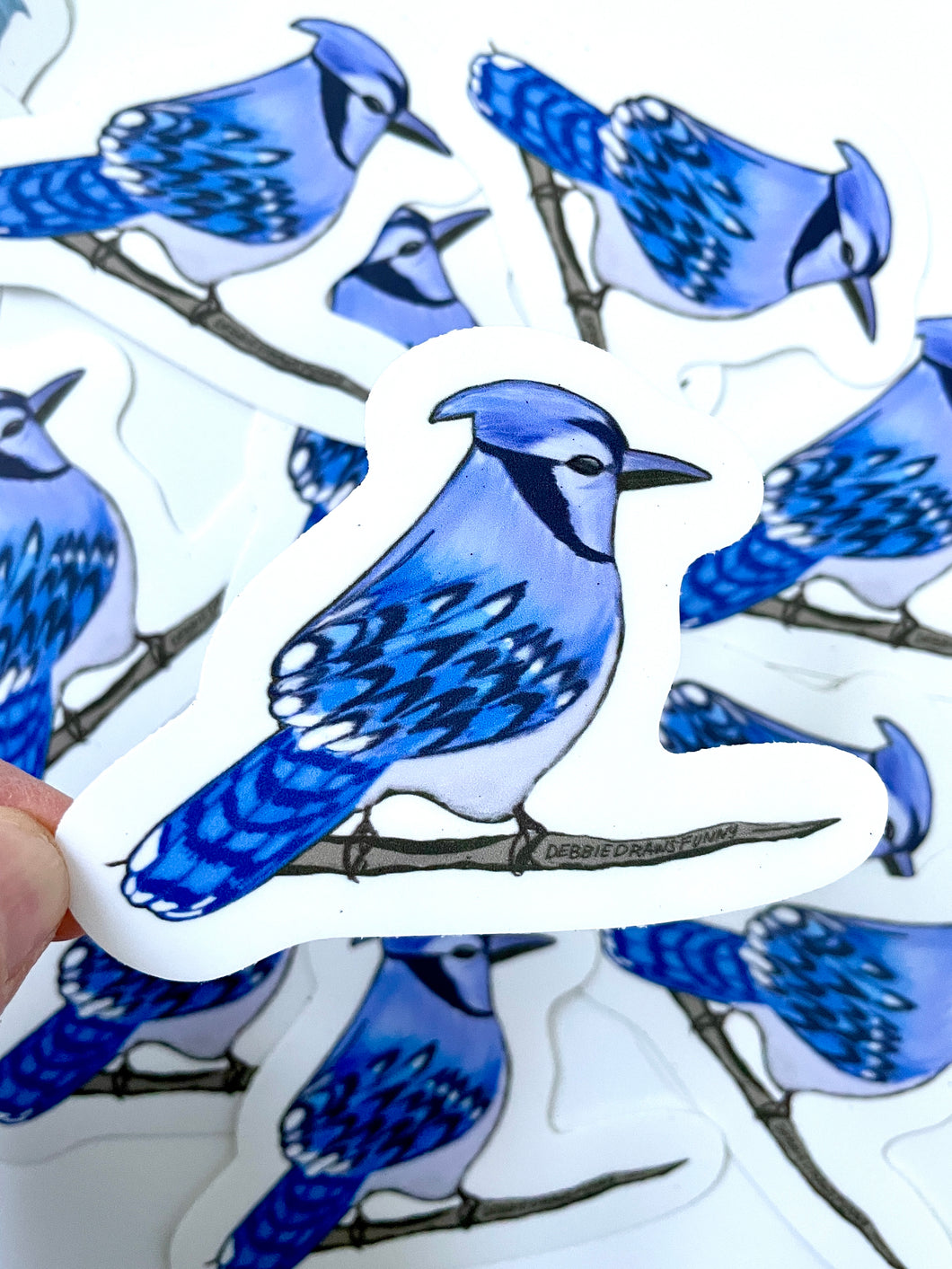 Blue Jay Sticker - Bird Nerd Stickers