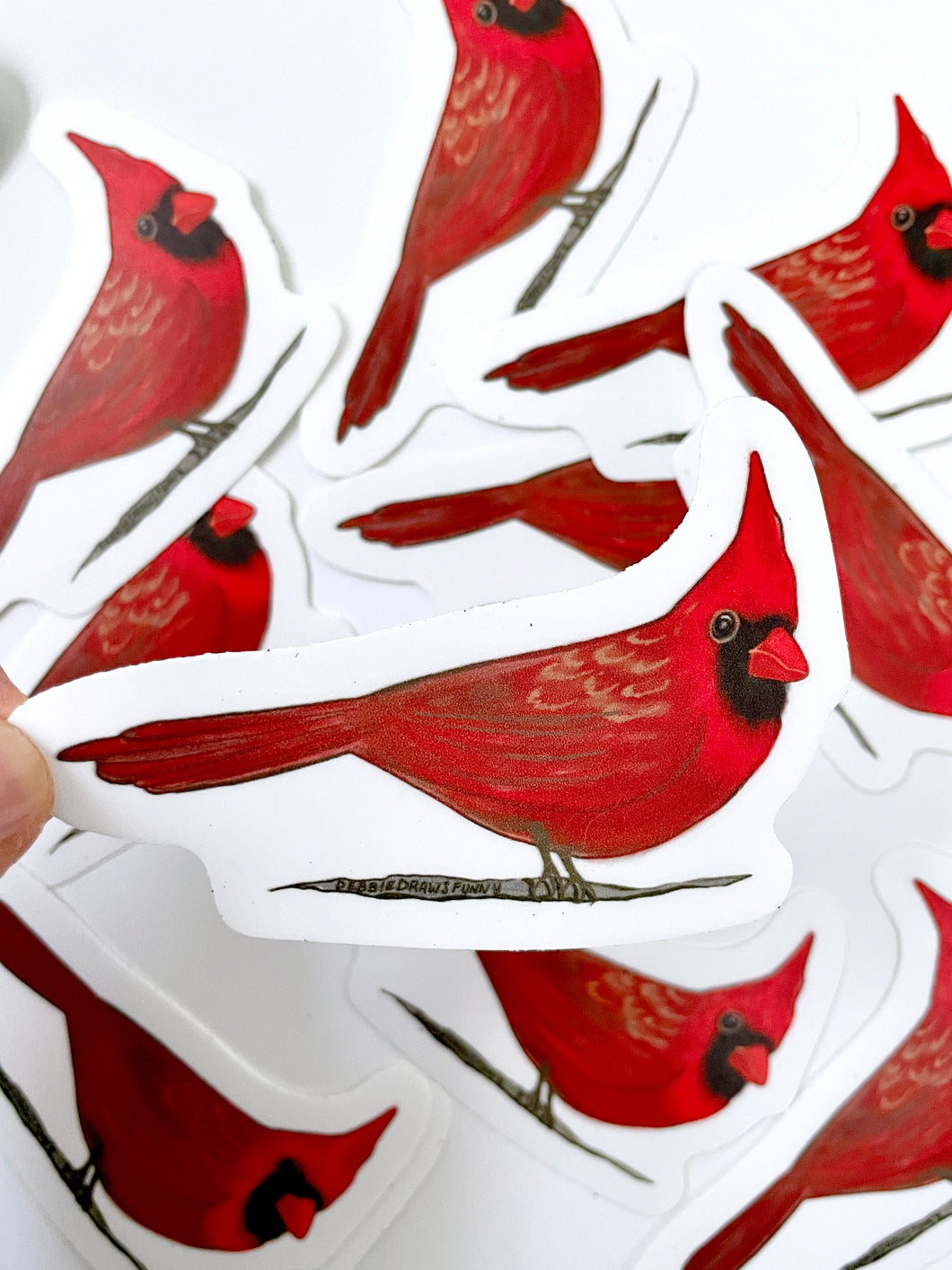Cardinal Sticker - Bird Nerd Stickers