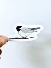 Load image into Gallery viewer, Chickadee Sticker - Bird Nerd Stickers
