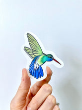 Load image into Gallery viewer, Hummingbird Sticker - Bird Nerd Stickers
