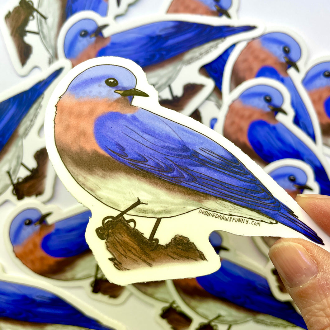 Eastern Bluebird Sticker - Bird Nerd Stickers