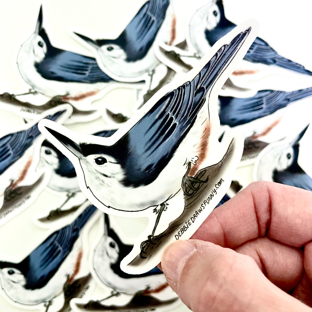 White Breasted Nuthatch Sticker - Bird Nerd Stickers