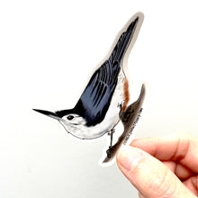 Load image into Gallery viewer, White Breasted Nuthatch Sticker - Bird Nerd Stickers
