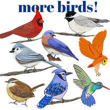 Load image into Gallery viewer, Carolina Wren aka Fairy Wren Sticker - Bird Nerd Stickers
