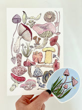 Load image into Gallery viewer, Mushroom Study - 5 x 7 Art Print
